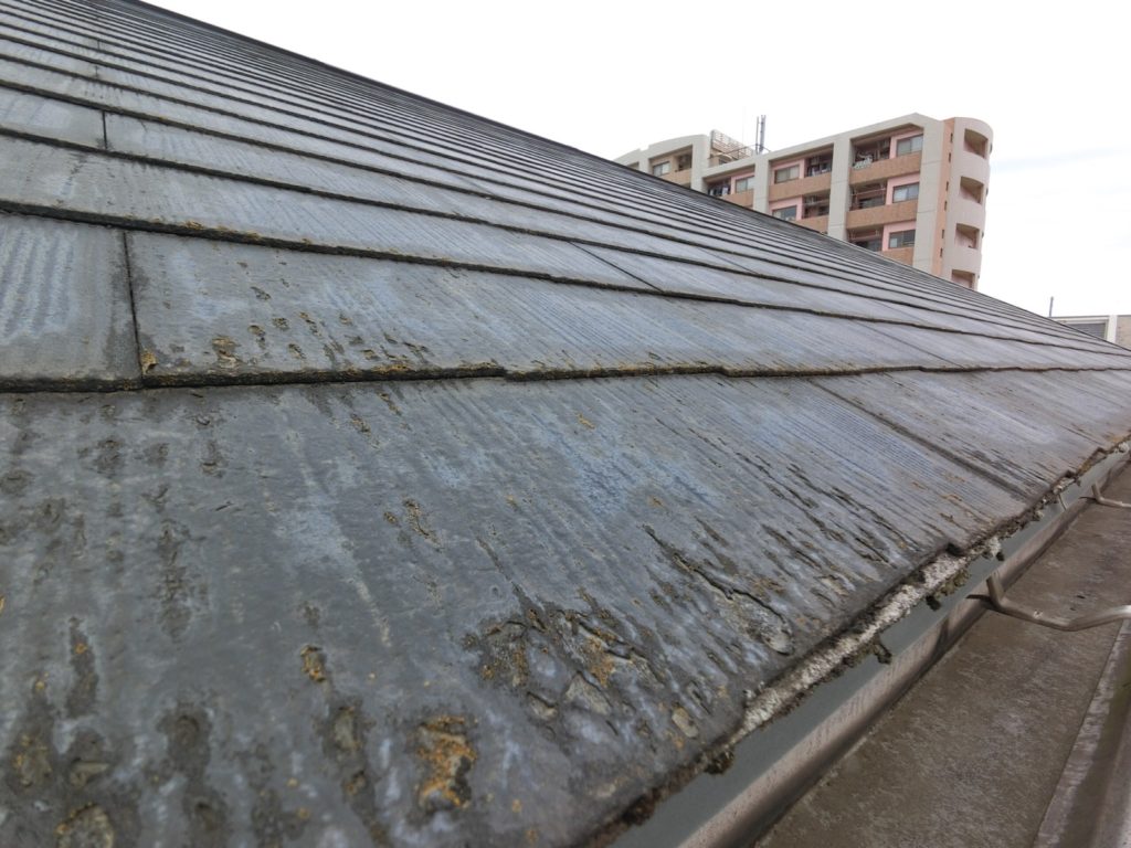屋根塗膜が剥がれています。